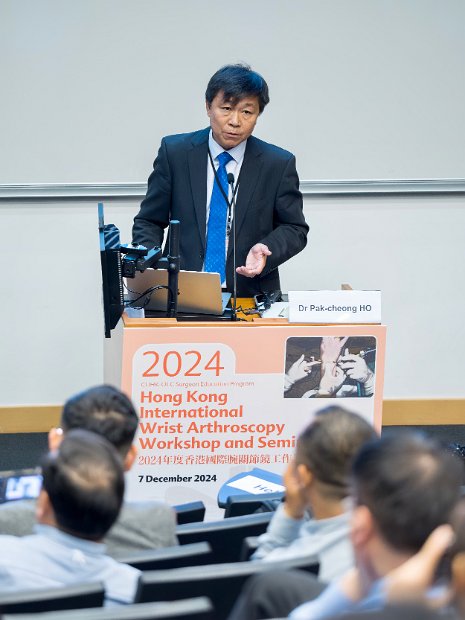 HK Wrist Course 2024- Seminar  - 79 of 257